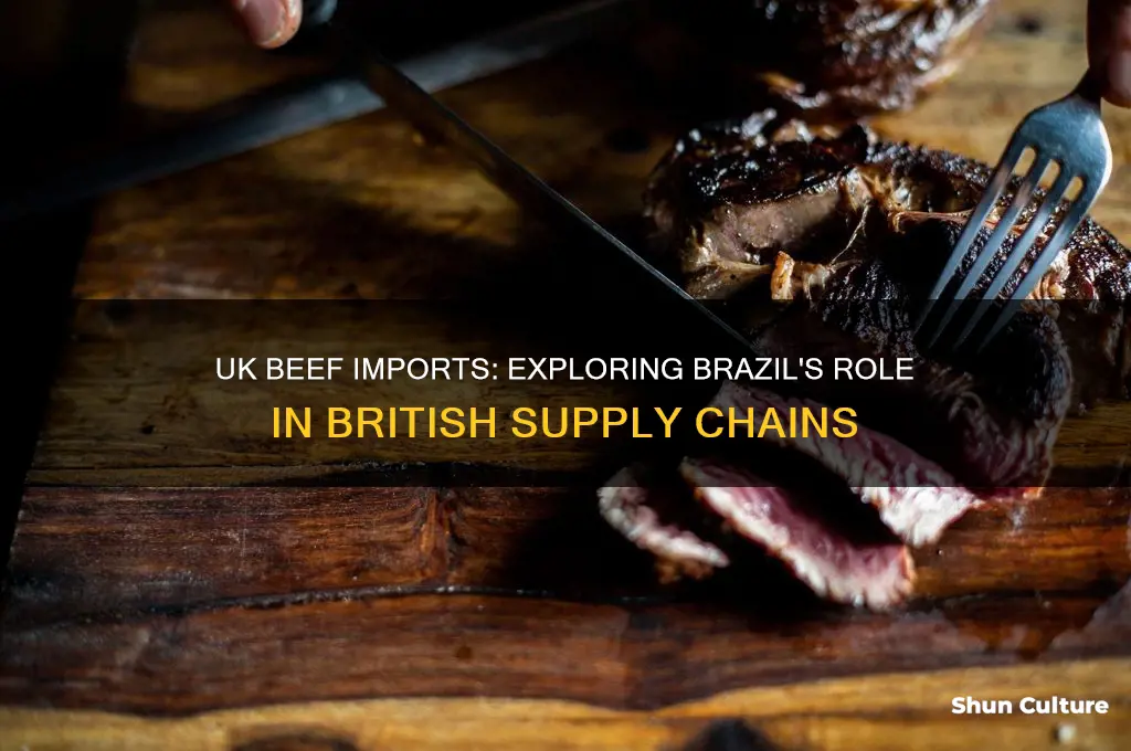 does the uk import beef from brazil