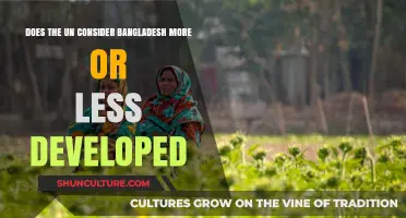 Is Bangladesh More or Less Developed? UN's Perspective Explored