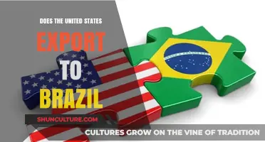 U.S. Exports to Brazil: Trade Dynamics and Economic Impact