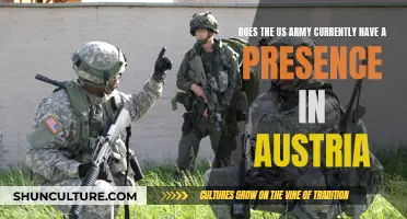 US Army Presence in Austria: Fact or Fiction?