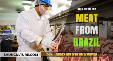 US Meat Imports: Does America Buy Beef from Brazil?