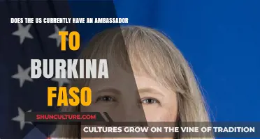 Exploring Diplomatic Ties: U.S. Ambassador Presence in Burkina Faso