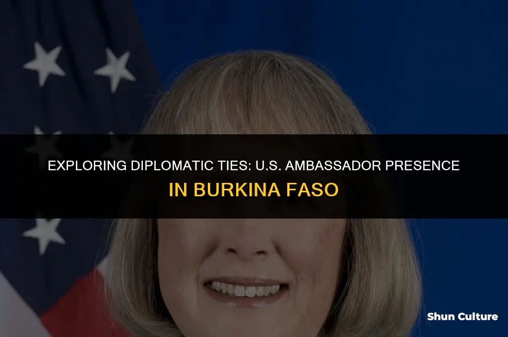 does the us currently have an ambassador to burkina faso