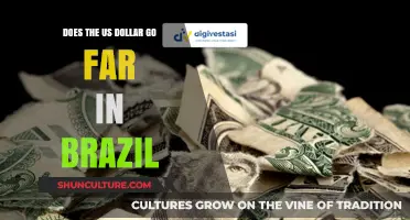 US Dollar in Brazil: How Far Can Your Money Stretch?