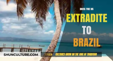 US-Brazil Extradition: Legal Process, Challenges, and Recent Cases Explained