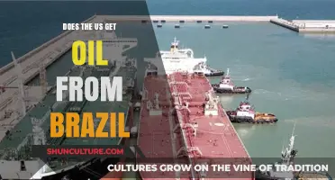 US-Brazil Oil Trade: Exploring Energy Imports from Brazil