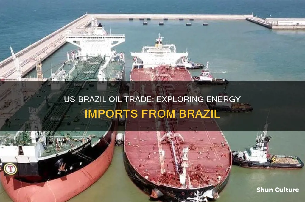 does the us get oil from brazil