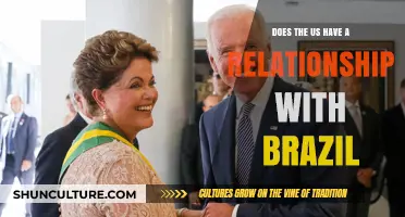 Exploring the Complex US-Brazil Relationship: Trade, Politics, and Culture
