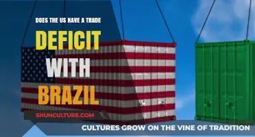 US-Brazil Trade Deficit: Fact or Fiction? Analyzing the Economic Relationship