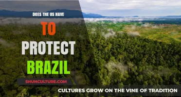 US-Brazil Relations: Exploring America's Role in Protecting Brazil's Interests
