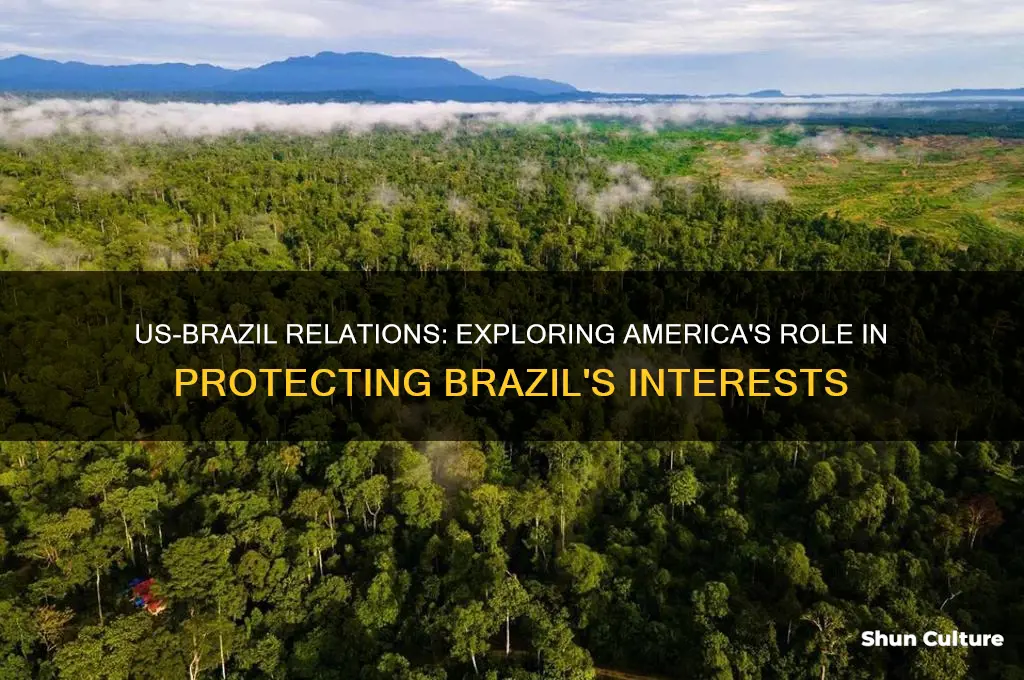 does the us have to protect brazil