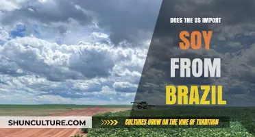 US Soy Imports: Brazil's Role in America's Supply Chain