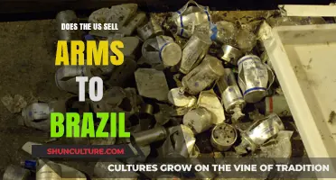 US Arms Sales to Brazil: A Strategic Partnership or Controversy?
