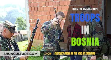 US Troops in Bosnia: Current Presence and Role Explained