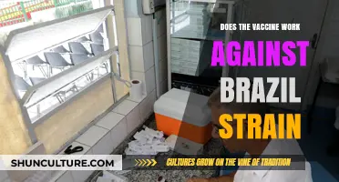 Brazil Strain and Vaccines: Effectiveness, Concerns, and Latest Updates