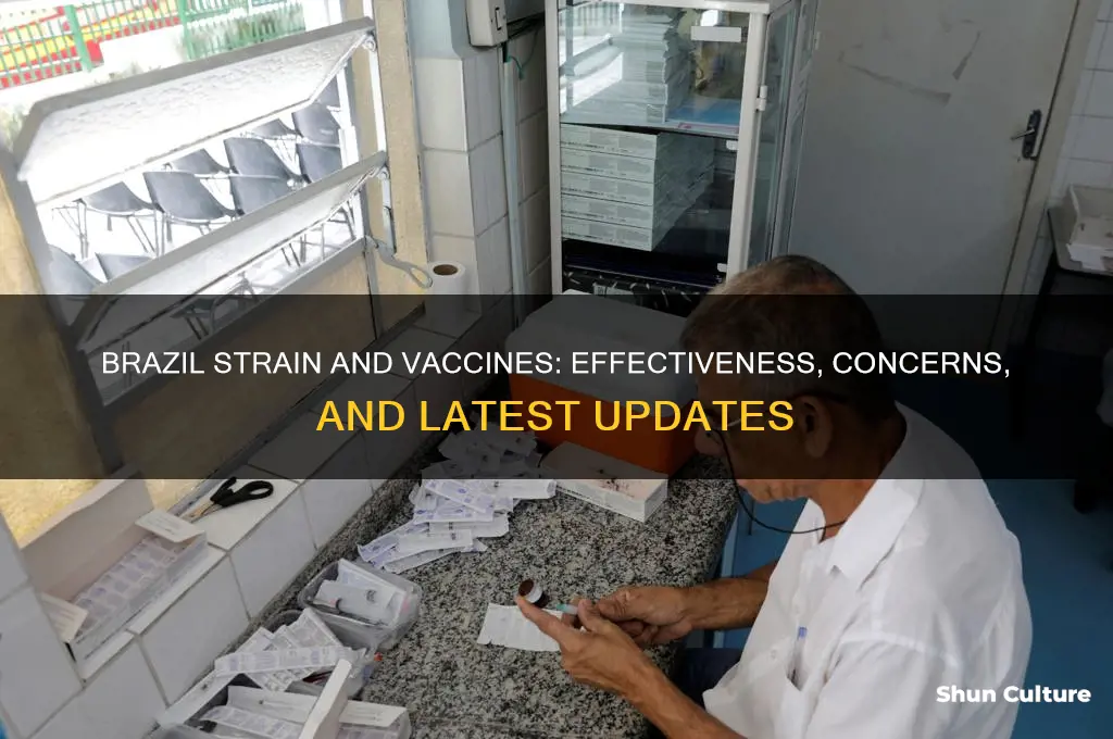 does the vaccine work against brazil strain
