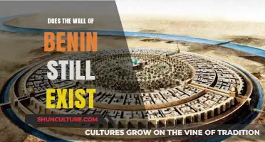 Exploring the Enduring Legacy of Benin's Historic Wall