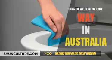 Does Water Swirl Counterclockwise in Australia? Unraveling Drain Myths