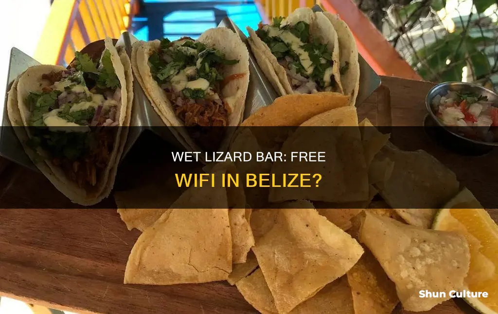 does the wet lizard in belize have free wifi