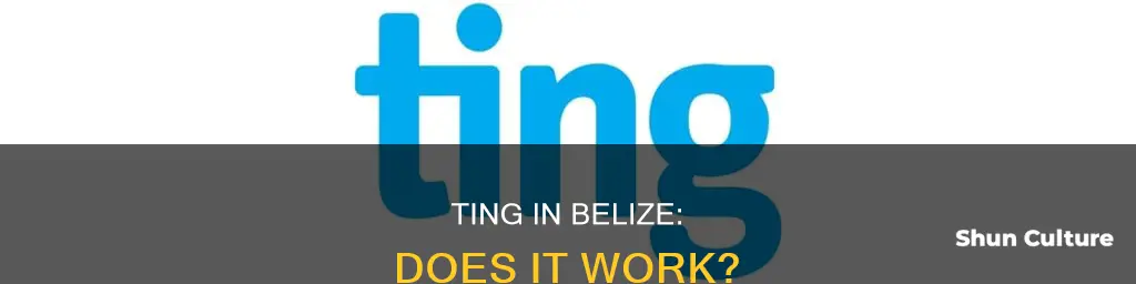 does ting work in belize