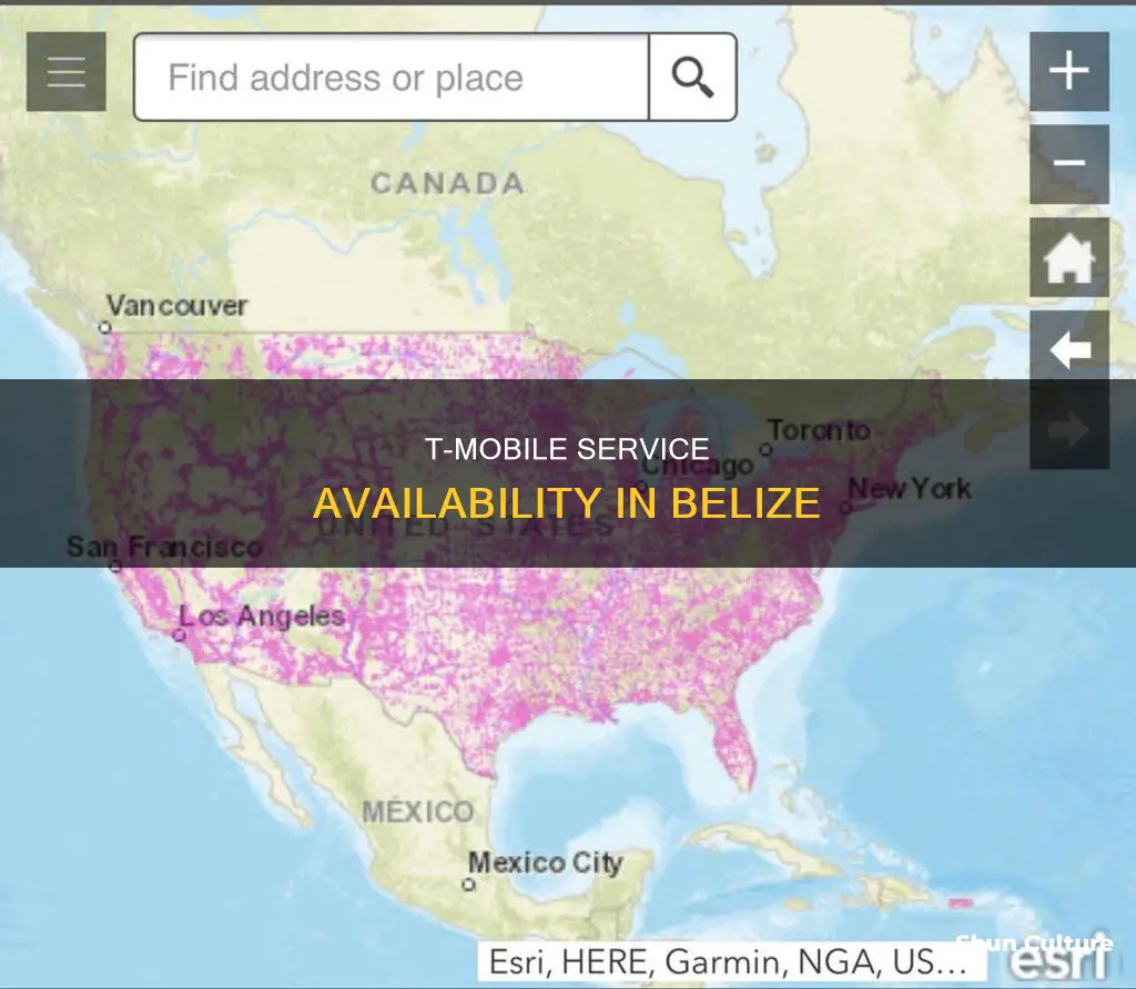does tmobile work in belize