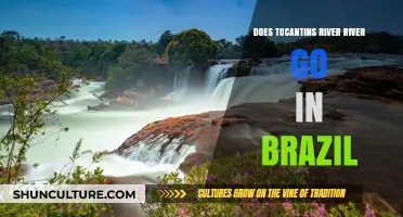 Exploring Brazil's Tocantins River: Its Course and Significance