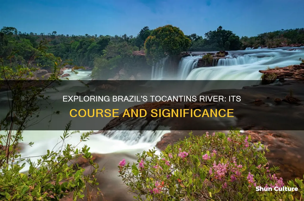 does tocantins river river go in brazil