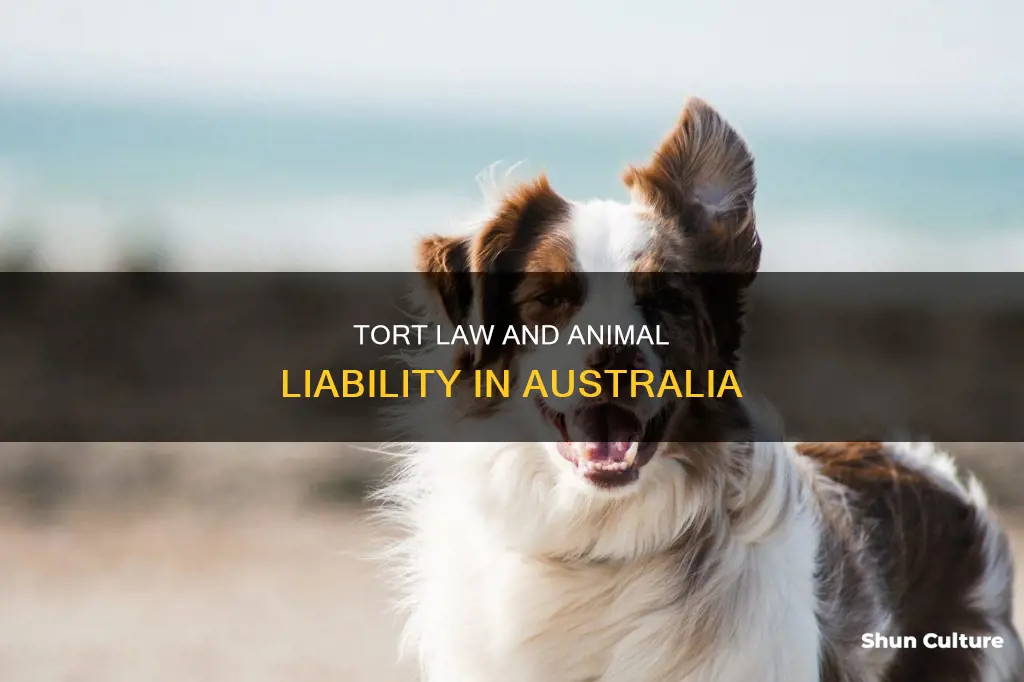 does tort law cover animals australia