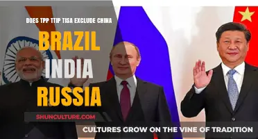 TPP, TTIP, TISA: Impact on China, Brazil, India, Russia?