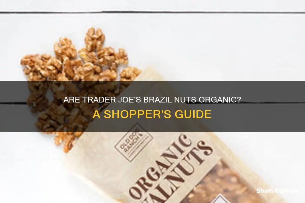 does traders joes sell organic brazil nuts