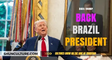 Trump's Support for Brazil's President: Fact or Fiction?