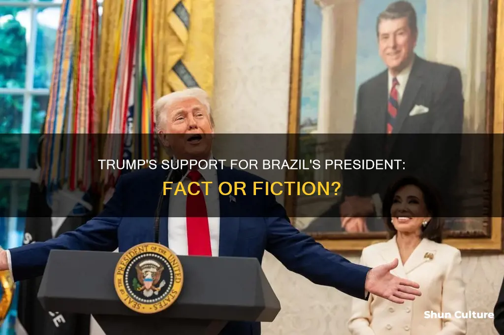 does trump back brazil president