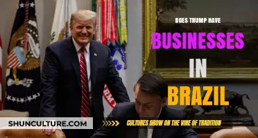 Trump's Business Ventures: Exploring His Ties to Brazil's Economy