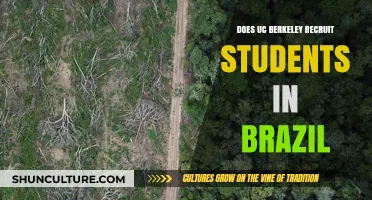 UC Berkeley's Recruitment Efforts in Brazil: Opportunities for Brazilian Students