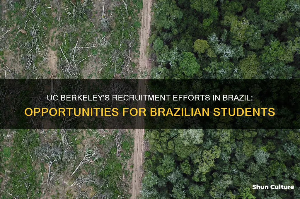 does uc berkeley recruit students in brazil
