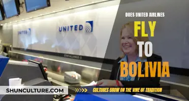 United Airlines' Bolivia Flights: Where and When?