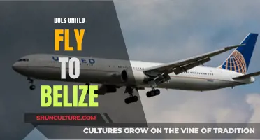 United Airlines: Direct Flights to Belize?