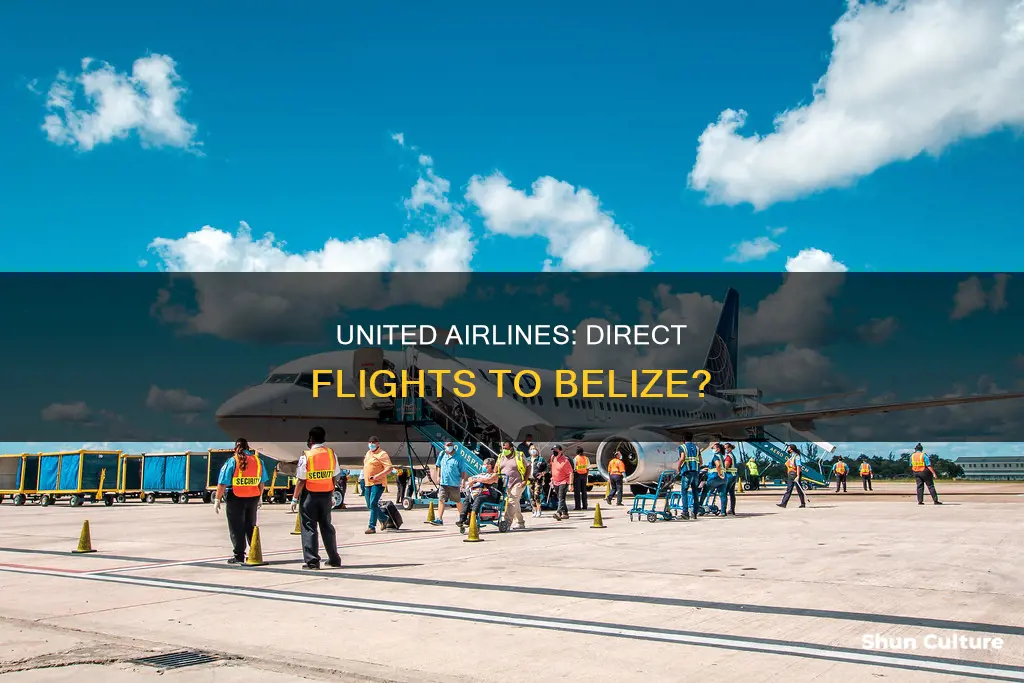 does united fly to belize