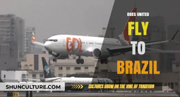 Does United Airlines Offer Flights to Brazil? A Comprehensive Guide