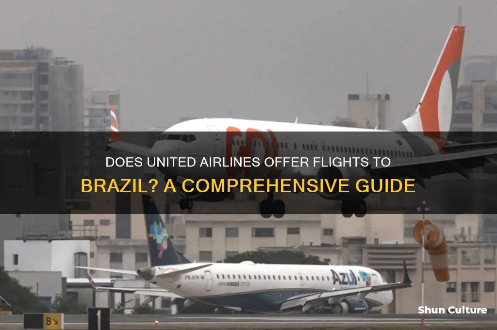 does united fly to brazil