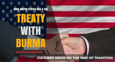 Exploring the Tax Treaty Landscape Between the US and Burma