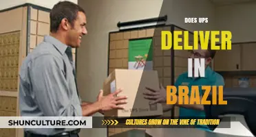 Does UPS Deliver in Brazil? Exploring Shipping Options and Services