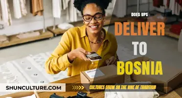 Does UPS Deliver to Bosnia? Shipping Options and Services Explained