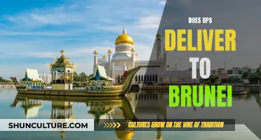 UPS Delivery Destinations: Does Brunei Make the Cut?