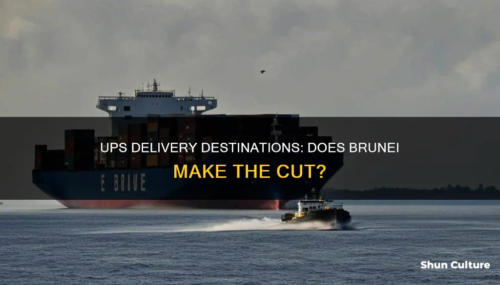 does ups deliver to brunei