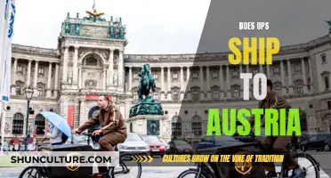 Shipping Worldwide: UPS Services in Austria