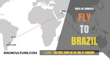 Does US Airways Fly to Brazil? Routes and Destinations Explained