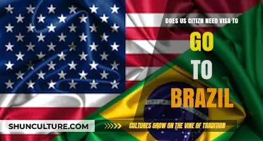 Do US Citizens Need a Visa for Brazil Travel?
