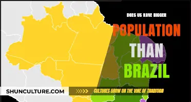 US vs. Brazil: Which Country Has a Larger Population?