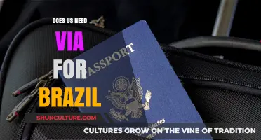 Does the US Need a Visa for Brazil? Travel Requirements Explained